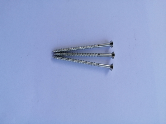 Запассивированные винты Fastenal 11X70 собственной личности нержавеющей стали выстукивая