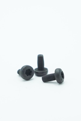 Torx Socket Head Screw Нержавеющая сталь Машинные винты Противоугонные винты