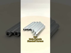 Шестнадцатигранный мужской-женский винт противостояния